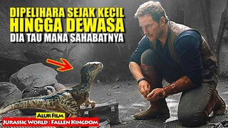 Makhluk Paling Buas Mengamuk Akibat Ulah Manusia Yang Serakah!!! | Alur Cerita FIlm