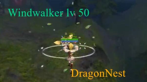 Windwalker Dragon Nest Return 50
