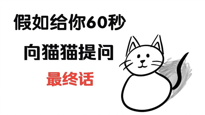 假如给你60秒向猫猫提问（第十一期）