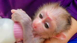 Most Handsome Boy!! Wow, So adorable when tiny Luca is drinking milk