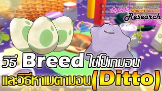 วิธี Breed ไข่โปเกมอน & การหาเมตามอน(Ditto) | Pokemon Scarlet & Violet [ PeExTic Research ]