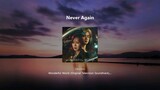 Never Again - Lim Ji Soo (Wonderful World)