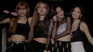 BLACKPINK - 'REALLY' ( Concert Performance )