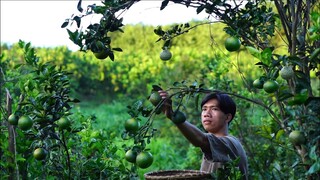 Đông Về Làm Sườn Sốt Cam Nhớ Vị Tuổi Thơ