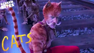 The Cat Of The Railway Train | Cats Movie | Screen Bites