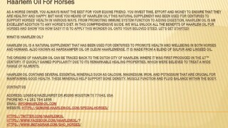 Haarlem Oil For Horses
