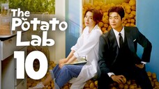 🇰🇷EP 10 | The Potato Lab (2025) [EngSub]