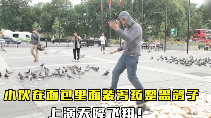 A young man put laxatives in bread to trick pigeons and staged a flight from the sky, which made him