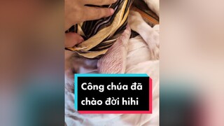 Công chúa đầu tiên ahihi.  cunyeucuadua chó chócon chókhôn chócute