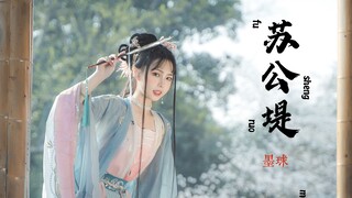 见过春天的西湖吗！极限挑战一天拍完西湖的n个热门景点【墨球】