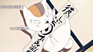 “Kungfu kucing berkaki tiga Guru Kucing sama bagusnya dengan sebelumnya”