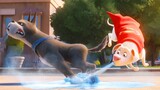 A SUPER DOG recruits a team of ANIMALS with SUPERPOWERS to SAVE the JUSTICE LEAGUE - RECAP