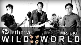 WILD WORLD - Mr. Big | cover by PLETHORA