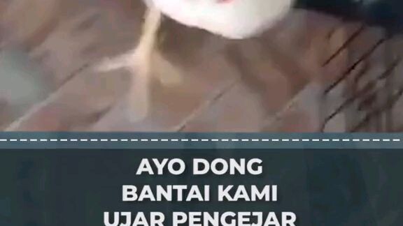 Weh Cok Cokk
