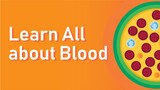 Learn All about Blood - Anatomy, Physiology, Composition, Function & Disorders