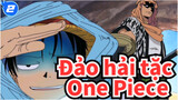 Đảo hải tặc One Piece|Gì cơ? Bạn thích cái này sao?_2