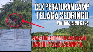 Telaga Sedringo -Cek Perlengkapan dan Awas Hindari Pohon Kain Merah. ini penjelasanya