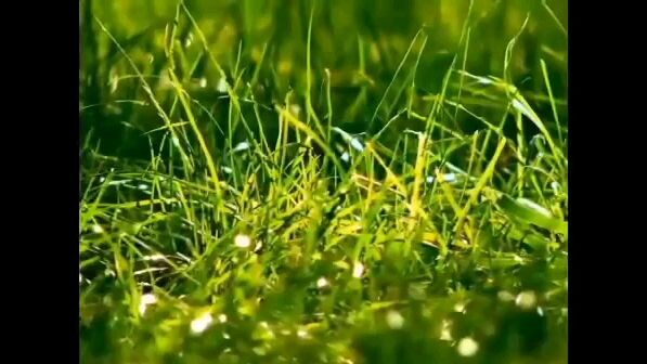 i just want to remind you go outside and touch some grass 👌