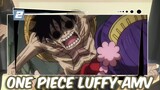 Luffy - Seimei Kikan-2