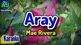ARAY (Naku) - Mae Rivera | KARAOKE HD
