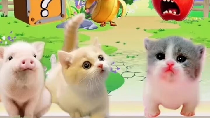 我要给小猫咪好吃的。