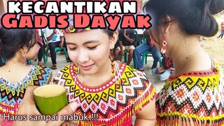 Minum Tuak bersama Gadis Dayak Di acara Ritual Adat gawai kalimantan Barat