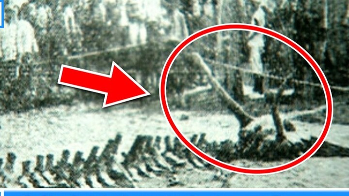 [Truth Revealed] Five Reasons to Prove the Dragon Falling Incident Was a Fake!