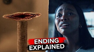 AMERICAN HORROR STORIES Season 3 Episode 3 "Tapeworm" Ending Explained