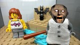 GRANNY LEGO THE HORROR GAME ANIMATION Frozen Granny and Crow Pet
