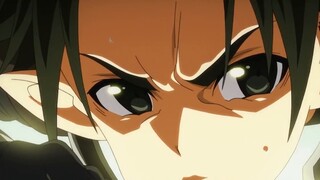 [ Sword Art Online ] What does S stand for