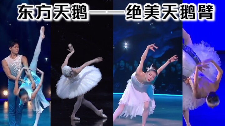 【绝美纯享】东方天鹅谭元元の最炫民族风天鹅臂