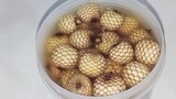 Fermented Rattan Fruit Littuko