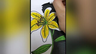 part 5 vẽ hoa lily onhavanvui vetranh vehoalily vehoa drawing drawingart drawingflower stayhomechallange stayhomecovid