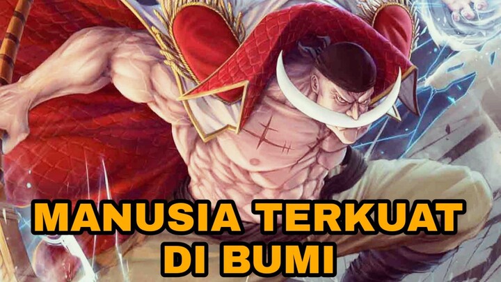 KOMBINASI HAKI + BUAH IBLIS !