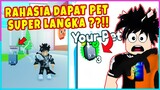 AKHIRNYA AKU DAPET PET HUBERT CAT DI PET SIMULATOR X ??!! - Roblox Indonesia