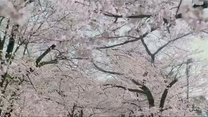 Shigatsu wa Kimi no Uso (Your Lie in April) 2018 Live Action Filme  Legendado PT-BR - BiliBili