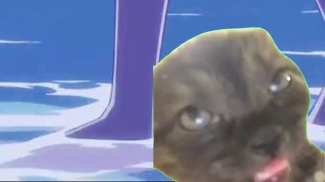 [Hằng ngày] Hành trình mua CP của một người Naruto-Sakura｜Meme mèo
