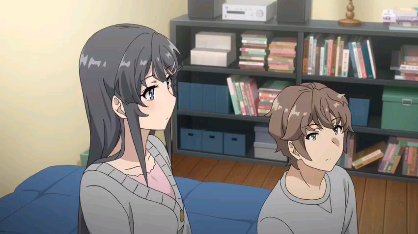 Seishun Buta Yarou wa Yumemiru Shoujo no Yume wo Minai Movie