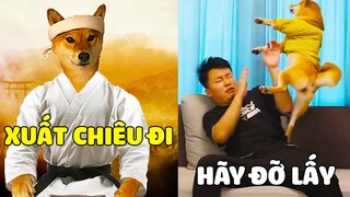 Khi Nhà Bạn Nuôi Một Hảo Chó Có Kung Fu Sẽ NTN...? 🤣 Gâu Đần Official