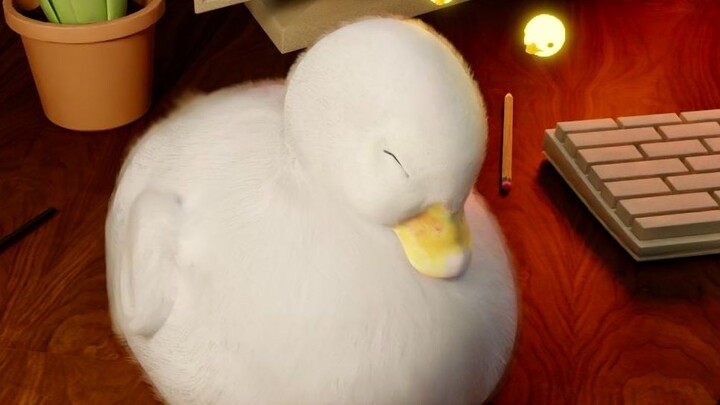 "Animasi Asli" Bebek capek, bebek capek, bebek agak ngantuk