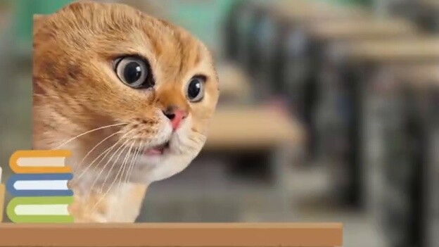 【Cat meme】Teacher, I am really a boy