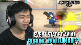 Burung Apa Itu Man ?? ~ Event Stage Gavial Arknights Indonesia