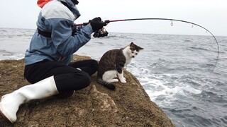 猫：“这条大鱼上来了，是不是够我吃一年的？”