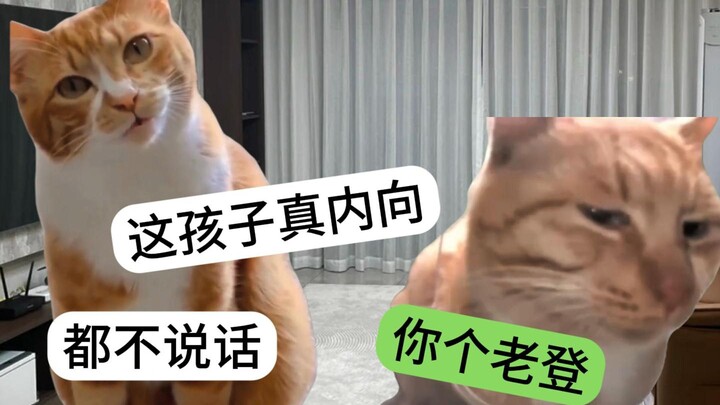 当亲戚说你太内向
