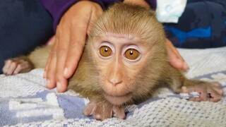 So beautiful little Yaya open big eyes when Mom gently comfy her