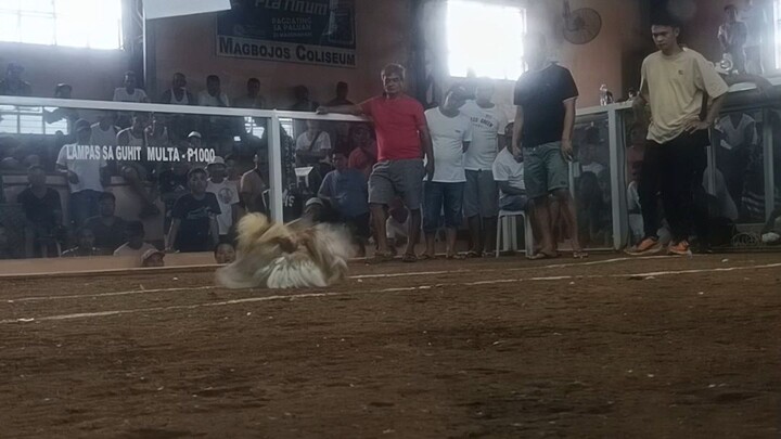 first fight W 2 hits Magbojos Coliseum Famy Laguna