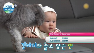 November 7 SUN - Young Lady and Gentleman / The Return of Superman [Today Highlights | KBS WORLD TV]