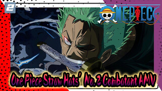 So This Is the Straw Hats’ No. 2 Combatant?.2