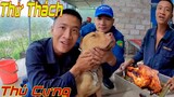ToànQN Thử Thách Đàn Chó Ăn Hết 10kg Gà Bao Tử | PitBull