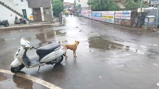 Shop se Gar tak ka Nazara 😅 | After Barish⛈️⚡️| Ravindra Barot Vlogs